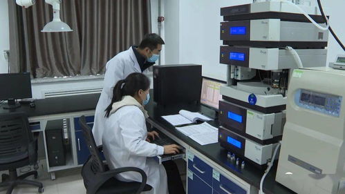 岷縣 以計(jì)算機(jī)軟件技術(shù)開發(fā)為引擎，科技創(chuàng)新引領(lǐng)縣域經(jīng)濟(jì)高質(zhì)量發(fā)展